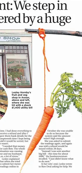  ??  ?? Lesley Hornby’s fruit and veg shop in Annan, above and left, where she was hit with a shock £1,400 utility bill
