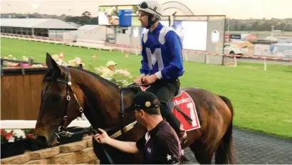  ??  ?? FINAL WARM-UP. Winx is taken through her paces by jockey Hugh Bowman at Moonee Valley yesterday morning. The mare will attempt to become the first horse in history to win the Cox Plate four times on Saturday.