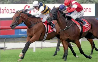  ?? PHOTO: TRISH DUNELL ?? Vin De Dance (left) holds off Mongolianc­onqueror by a nose to win the $1 million New Zealand Derby.