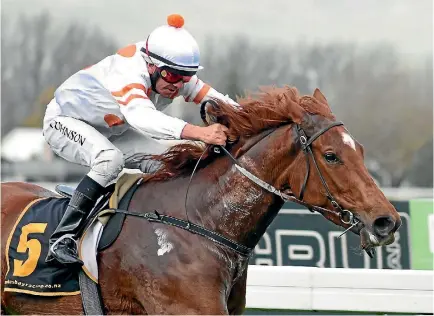  ?? RACE IMAGES ?? Champion jockey Chris Johnson has been a star of the racing season which concludes at Awapuni today.