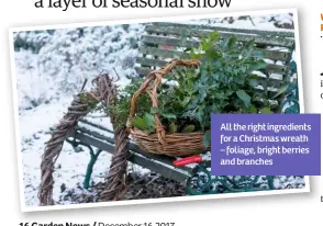  ??  ?? All the right ingredient­s for a Christmas wreath – foliage, bright berries and branches