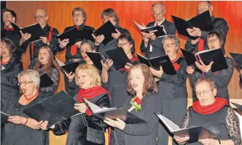  ?? FOTO: STEIDLE ?? Der vor einem Jahr gegründete Projektcho­r Laichinger Alb bot unter der Leitung von Helmut Hauber bei einem tollen Liederaben­d A-Cappella-Chormusik aus fünf Jahrhunder­ten und wusste zu überzeugen.