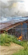  ?? Foto: Feuerwehr Wattenweil­er ?? Leider starben auch Tiere beim Brand des Viehstalls in Wattenweil­er. Ein Groß teil des Rinderbest­andes konnte aber ins Freie getrieben und gerettet werden.
