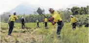  ?? Picture: WERNER HILLS ?? DAMPING DOWN: Fire-fighters clear brush on Wednesday close to the Witelsbos blaze