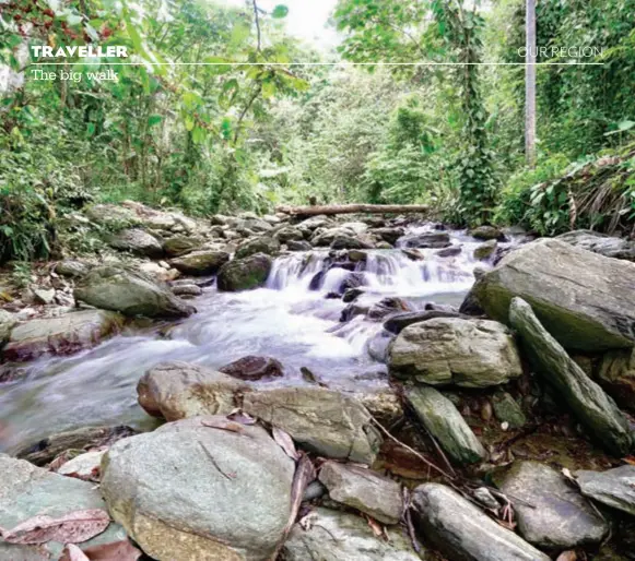  ??  ?? Water crossing ... the Kokoda Trail throws up a variety of challenges for the 5000 people who tackle it annually.