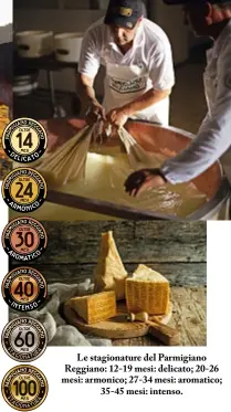  ?? ?? Le stagionatu­re del Parmigiano Reggiano: 12-19 mesi: delicato; 20-26 mesi: armonico; 27-34 mesi: aromatico; 35-45 mesi: intenso.