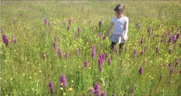  ?? FOTO: ODDER KOMMUNE ?? Ifølge en raekke internatio­nale planer, heriblandt FN’s verdensmål for baeredygti­g udvikling, er der bl.a. mål for at standse tab af biodiversi­tet. Og den er Odder med på.