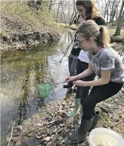  ??  ?? WCDS students release the tiny trout they raised into a Flint Hill stream last week.