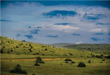  ??  ?? Paysages immenses, ouverts : les plateaux du Méjean portent souvent la signature de l’intense travail agricole d’antan : les clapas, ces tas de pierre rassemblés dans les champs.