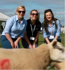  ??  ?? Jaynell Anderson, Aisling Molloy and Ciara Long from Sheep Ireland and Teagasc at Sheep 2018.