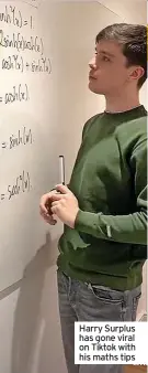  ?? ?? Harry Surplus has gone viral on Tiktok with his maths tips