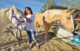  ?? Signal file photo ?? (Above) Roxie Bradford grooms rescued horses Mia, left, and Jax at SRD Straighten­ing Reins’ in 2018.