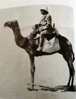  ??  ?? Sven Hedin à dos de chameau. Une image parue en 1909, dans l’hedomadair­e suédois Hvar 8 dag.