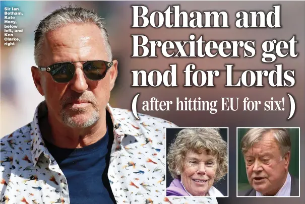  ??  ?? Sir Ian Botham, Kate Hoey, below left, and Ken Clarke, right