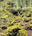  ?? Photograph­s by Mark Boster
Los Angeles ?? THE WALK to Rogue River Gor near Prospect, Ore., is mighty sce