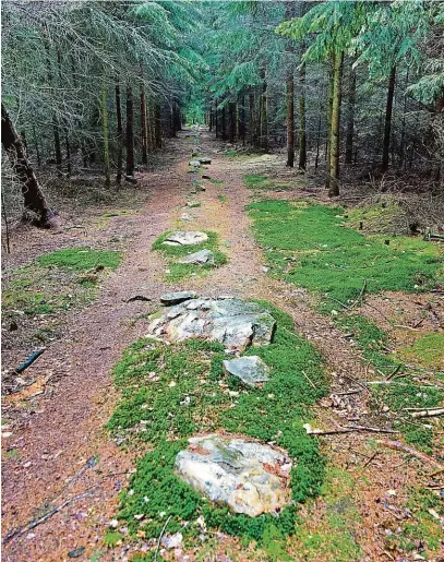  ?? FOTO PROFIMEDIA ?? Prehistori­cký kalendář či dokonce naváděcí systém UFO? O kounovskýc­h kamenech toho víme málo.