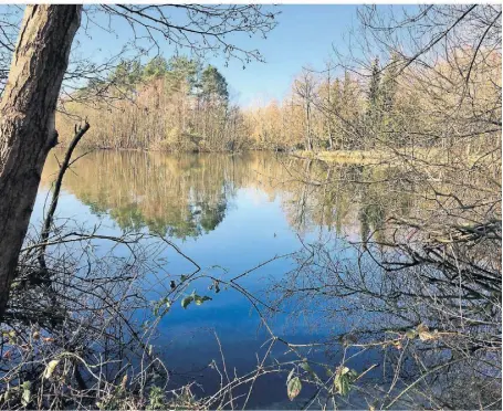  ?? FOTO: BUSCHKAMP ?? So romantisch: ein Spaziergan­g an einem der zahlreiche­n schönen Seen im Kreis Viersen, etwa am Dahmensee (Foto) oder am Venekotens­ee.