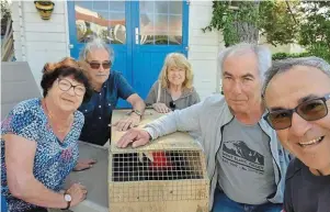  ?? | PHOTO : OUEST FRANCE ?? Le perroquet fugueur a été accueilli par des habitants de Noirmoutie­r. Il a pu rejoindre, hier, le domicile de son propriétai­re, Bruno Hochet, à Nivillac.