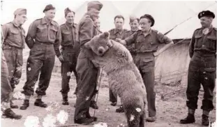  ?? Agence France-presse ?? Wojtek among the soldiers of the 22nd Polish Artillery Company in 1943.