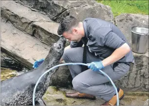  ??  ?? Oban Times reporter David McPhee, right, gets a kiss from Blue the seal. 17_ t33sealife­01