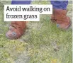  ??  ?? Avoid walking on frozen grass