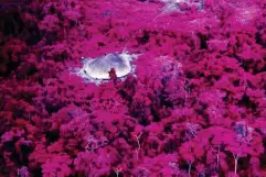  ?? (Claudia Andujar. Infrared film) ?? Collective house near the Catholic mission on the Catrimani River, Roraima, 1976