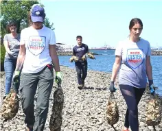  ??  ?? Workers with the Billion Oyster Project prepare to place oysters in the waters near Brooklyn’s Bush Terminal Park.