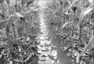  ?? Mona Weatherly ?? Top photo: March 13, 2019, a corn field just west of Broken Bow fills with water as the result of rain and snow, perhaps a harbinger for the entire growing season.