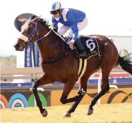  ?? Photograph­ics Picture: JC ?? TALENTED. Soqrat won his first two starts and was touched off last time but he looks the proverbial “good thing” when he contests the Grade 1 Premiers Champion Stakes over 1600m at Greyville tomorrow.