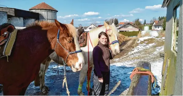  ?? Foto: Michael Kneißl ?? Wenn die Studentin Virginia Kneißl Semesterfe­rien hat, verbringt sie viel Zeit mit ihren Pferden Rainman und Balu in Krumbach. Um ihr Ziel, nämlich zukünftig eine eigene Zucht zu führen, zu erreichen, ist sie für das Studium der Pferdewiss­enschaften...