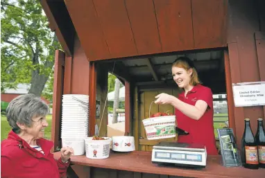  ?? CAROLYN KASTER/ASSOCIATED PRESS ?? Abby McDonough, 19, a student at Liberty University in Virginia, hands Karen Belle, of Hamilton, Va., her pail of strawberri­es at Wegmeyer Farms in Hamilton. Working at the farm is one of McDonough’s summer jobs.