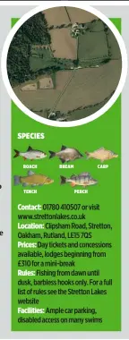  ??  ?? Contact: 01780 410507 or visit www.strettonla­kes.co.uk Location: Clipsham Road, Stretton, Oakham, Rutland, LE15 7QS Prices: Day tickets and concession­s available, lodges beginning from £310 for a mini-break Rules: Fishing from dawn until dusk, barbless hooks only. For a full list of rules see the Stretton Lakes website Facilities: Ample car parking, disabled access on many swims