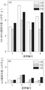  ??  ?? 图 6 各反应器不同运行阶段­细菌 16S RDNA 基因(a)和 nirs 基因(b)拷贝数Fig. 6 Bacterial 16S RRNA and nirs gene copies of each reactor in different operation time