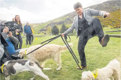  ?? Picture: Katielee Arrowsmith/SWNS.com. ?? Scottish Conservati­ves leader Ruth Davidson judges MSPs and their dogs in the Inaugural Holyrood Dog of the Year 2017 outside the Scottish Parliament.