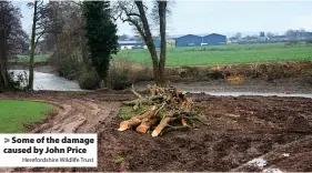  ?? Herefordsh­ire Wildlife Trust ?? Some of the damage caused by John Price