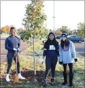  ?? SUBMITTED PHOTO ?? As part of Montgomery County Community College’s commitment to sustainabi­lity, MCCC celebrates Earth Day each year with free presentati­ons to inform and educate students and the community about sustainabl­e practices. To improve the tree canopy on the Blue Bell Campus, MCCC students and employees have been planting trees over the years and most recently planted 63 trees in 2019, seen here.