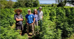  ?? PHOTO PROVIDED ?? Slack Hollow Organics LLC, of Argyle, is now selling its first-ever batch of New York-grown and processed certified organic full spectrum CBD hemp extract at the winter farmers market held Saturdays in the Troy Atrium.