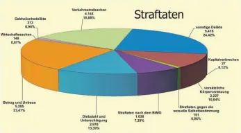  ?? GRAFIK: STAATSANWA­LTSCHAFT ULM /SZ ?? Der größte Teil der begangenen Straftaten fällt in den Vermögensb­ereich.