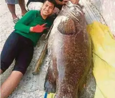  ??  ?? AHMAD Uzair menunjukka­n ikan kerapu kertang yang ditangkap bersama saudaranya di Perairan Miri.