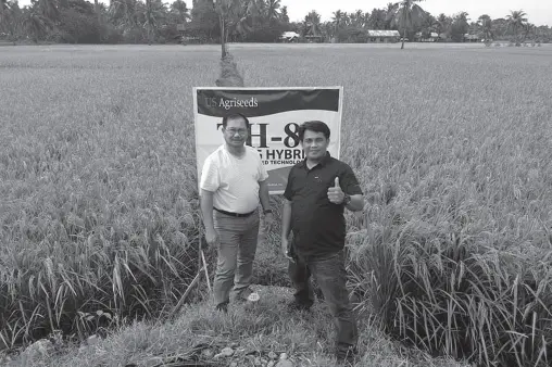  ??  ?? MINDA Chair Emmanuel F. Piñol during his visit to a demonstrat­ion farm of Seedworks Philippine­s in Lambayong, Sultan Kudarat