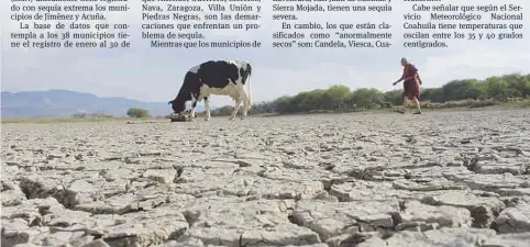  ??  ?? Afectacion­es. 2012 ha sido el año más seco de los últimos tiempos en Coahuila, tanto así que el hato ganadero no ha podido repoblarse.