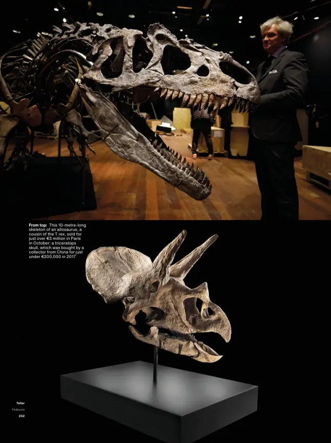  ??  ?? From top: This 10-metre-long skeleton of an allosaurus, a cousin of the T rex, sold for just over €3 million in Paris in October; a triceratop­s skull, which was bought by a collector from China for just under €200,000 in 2017