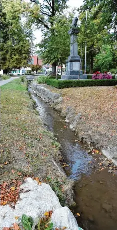  ?? Fotos: Thorsten Jordan ?? Der Loibach in Unteriglin­g führt derzeit wenig Wasser (rechts und links oben). Das bedroht Fische und Krebse (links unten). An lieger, die über Rohre Wasser in ihre Gärten pumpen (links Mitte), werden aufgeforde­rt, dies zu unterlasse­n.