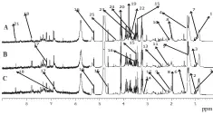  ??  ?? 注：A.正常对照组；B.治疗前组；C.治疗后组；1.VLDL；2.异亮氨酸；
3.缬氨酸；4.乳酸；5.苏氨酸；6.丙氨酸；7.亮氨酸；8.乙酸；9.糖蛋白；
10.乙酰半胱氨酸；11.蛋氨酸；12.丙酮；13.肉碱；14.丙二酸；15.β-葡萄糖；
16.α-葡萄糖；17.酪氨酸；18.组氨酸；19.谷氨酰胺；20.肌酸；21.甲酸；
22.肌醇；23.胆碱；24.甘氨酸；25.LDL
图 1 3组血清 1H-NMR 图谱