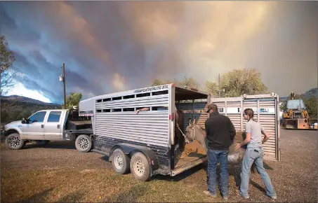  ?? The Associated Press ?? People load livestock into a trailer as smoke from the Cameron Peak Fire fills the sky Wednesday in Masonville, Colo.