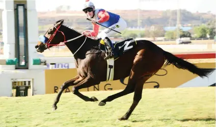  ??  ?? WEIGHT ADJUSTMENT. Will Pays has been allotted a new weight of 67kg for the R750,000 Grand Heritage (NonBlack Type) over 1475m on Saturday 30 September following his win in the Grade 3 Spring Spree Stakes.