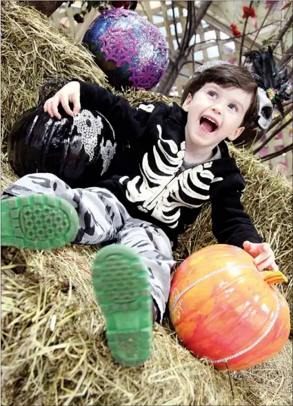  ??  ?? Four-year-old Nathan Aylward of Pouch Cove laughs as he checks out some of the colourfull­y decorated pumpkins set up all over the arena.