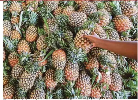  ?? FILE PIC ?? Pineapple is a fruit crop that can be exported, as well as ensures food security.