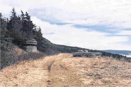  ?? CONTRIBUTE­D ?? A group in the Placentia region is working to refurbish the old railway route in the area to make the trail better for local and non-local all-terrain vehicle users.