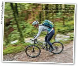  ??  ?? Ein Mountainbi­ker fährt durch einen Wald (Symbolfoto).